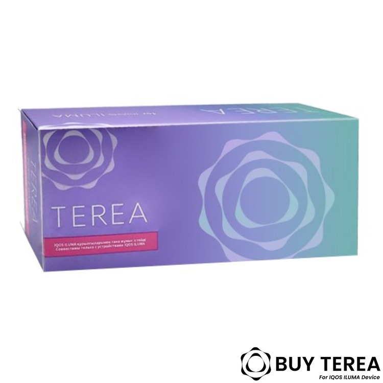 Heets TEREA Purple from Kazakhstan