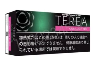 TEREA Black Menthol