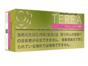TEREA Bright Menthol