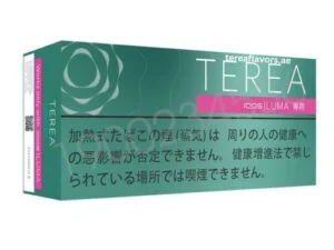 Heets TEREA Menthol
