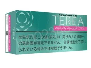 TEREA Mint