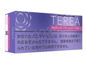 TEREA Purple Menthol