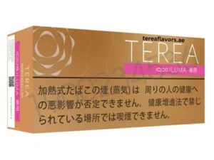 TEREA Warm Regular