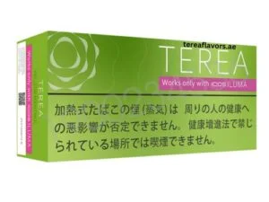 TEREA Yellow Menthol